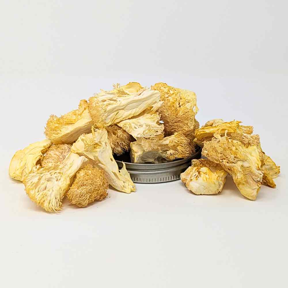 Dried Lion's Mane Mushrooms - 1 oz.