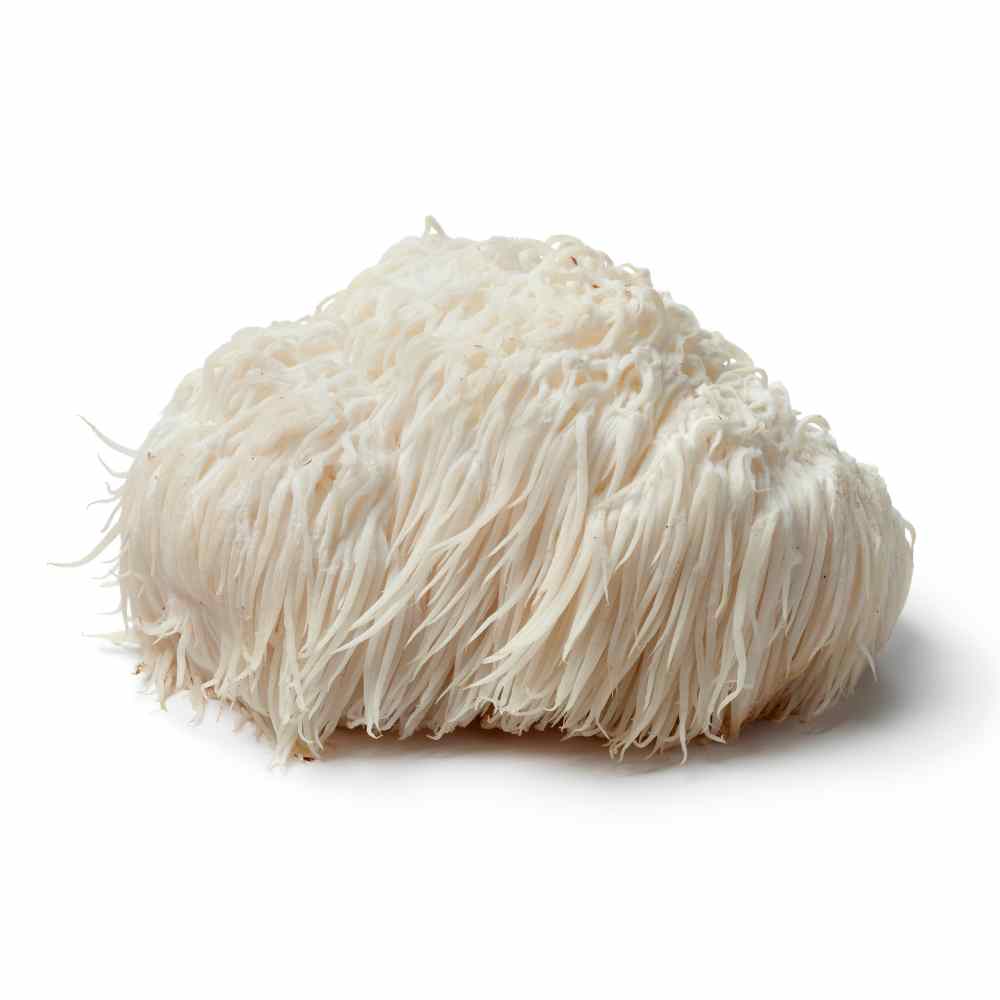 Dried Lion's Mane Mushrooms - 1 oz.